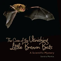 the Case of Vanishing Little Brown Bats: A Scientific Mystery
