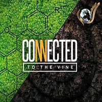 Connected To The Vine