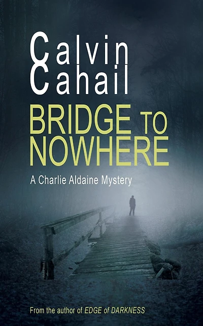 Bridge to Nowhere (A Detective Aldaine Mystery, #1)