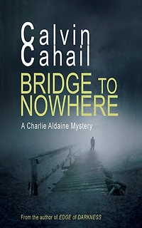 Bridge to Nowhere (A Detective Aldaine Mystery, #1)