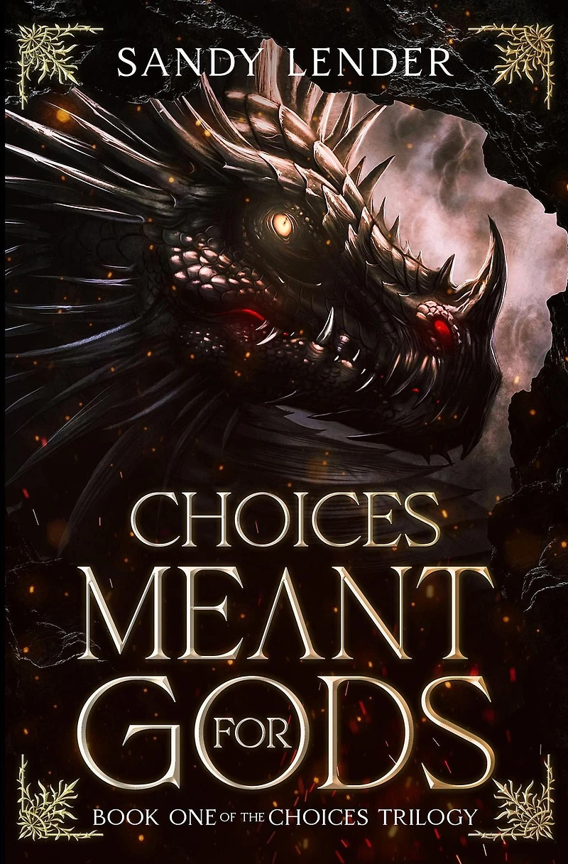 Choices Meant For Gods (The Choices Trilogy, #1)