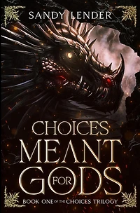 Choices Meant For Gods (The Choices Trilogy, #1)