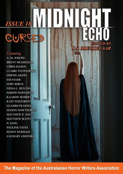 Midnight Echo Issue 18