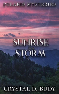 Sunrise in a Storm (Polaris Mysteries, #2)