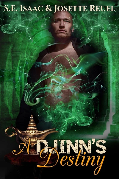 A Djinn's Destiny (Djinn's Enchantment, #2)