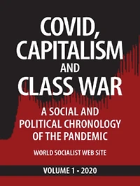 Covid, Capitalism, and Class War, Volume 1 2020: A Social and Political Chronology of the Pandemic (Covid, Capitalism and Class War, #1)