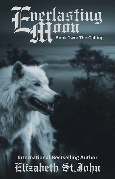 Everlasting Moon (Blood Sisters Series, #2)