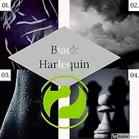 Black Harlequin (Black Harlequin The Romance Revealed, #2)