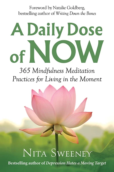 A Daily Dose of Now: 365 Mindfulness Meditation Practices for Living the Moment