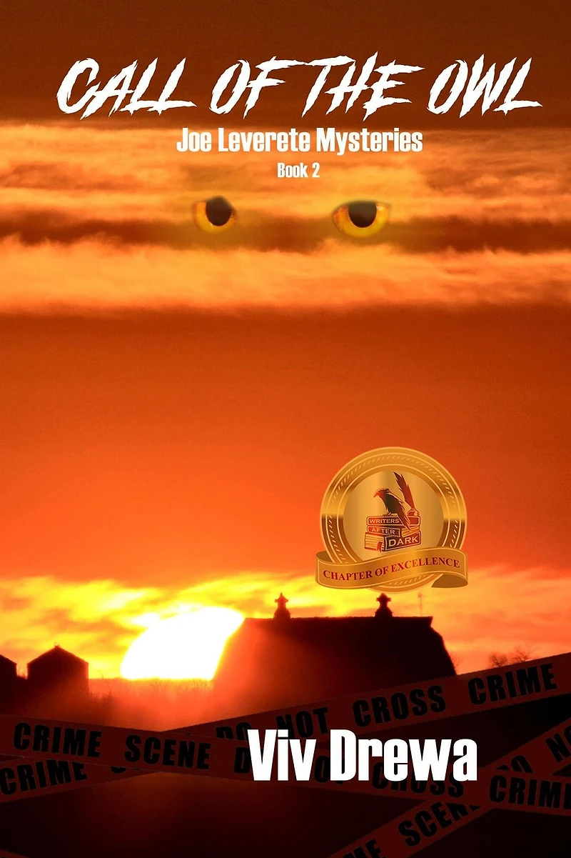 Call of the Owl (Joe Leverette Mysteries, #2)