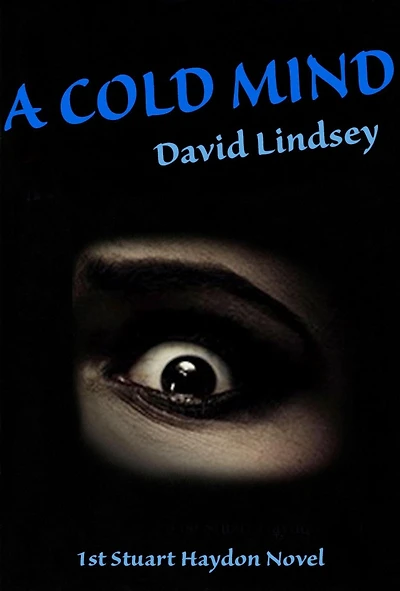 A Cold Mind (Stuart Haydon Series, #1)