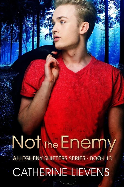 Not the Enemy