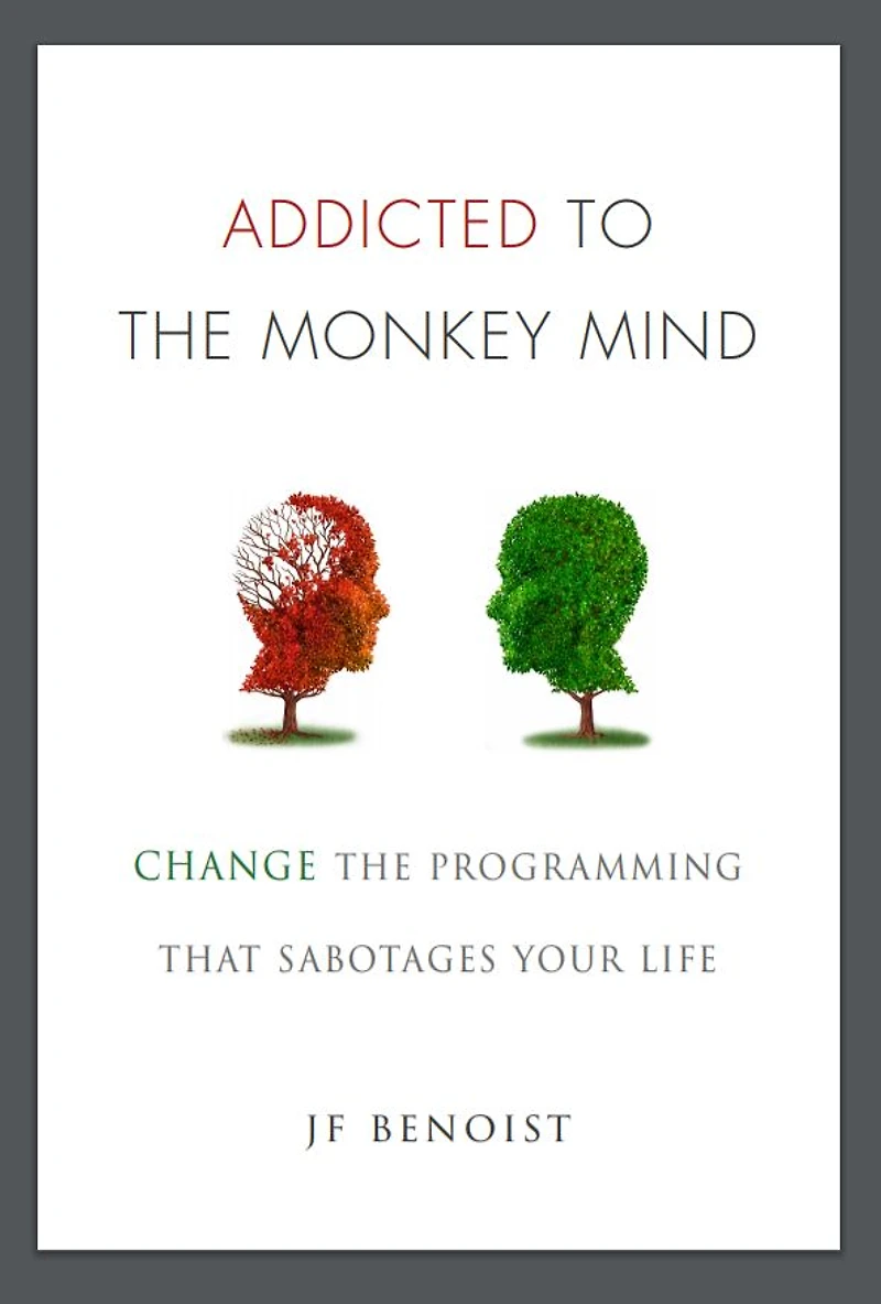Addicted to The Monkey Mind: Change Programming That Sabotages Your Life
