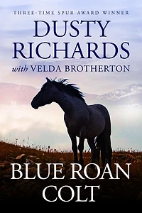 Blue Roan Colt