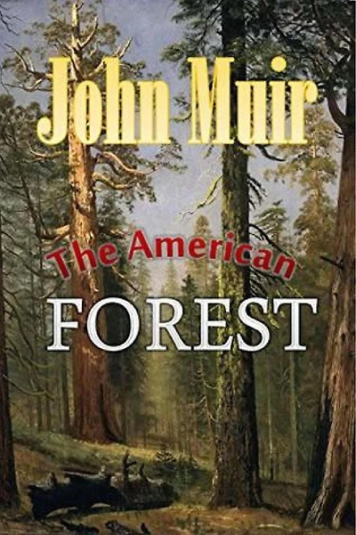 The American Forests (Illustrated)