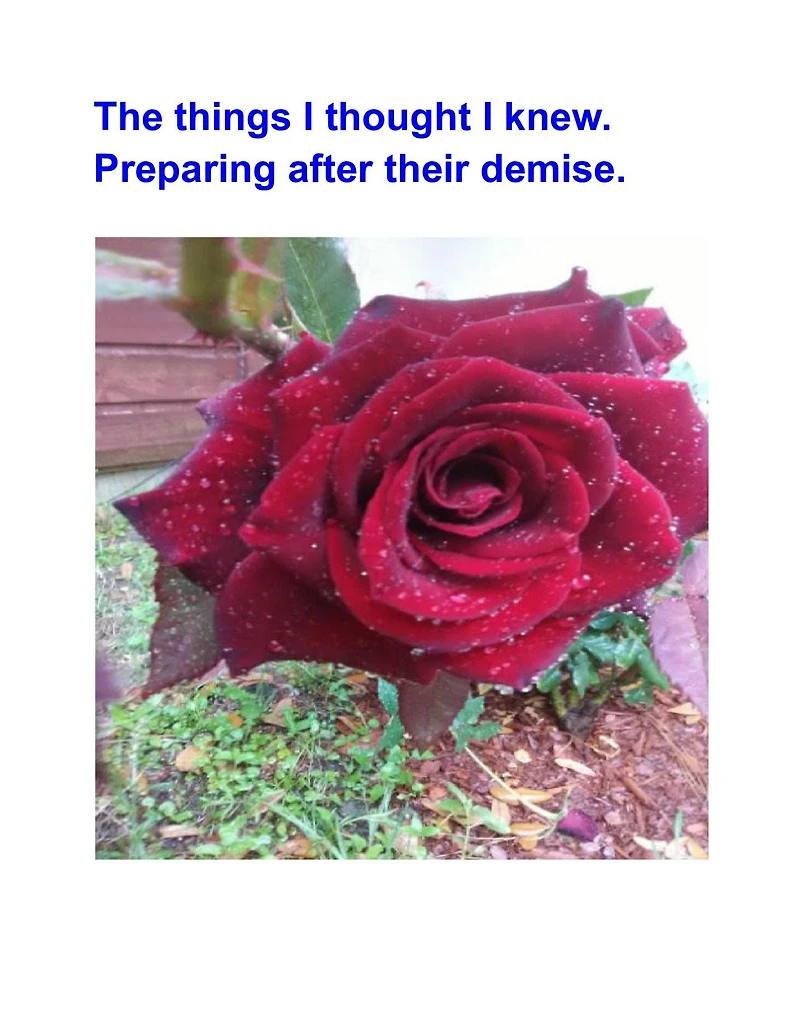 The Things I Thought Knew. Preparing After Their Demise.