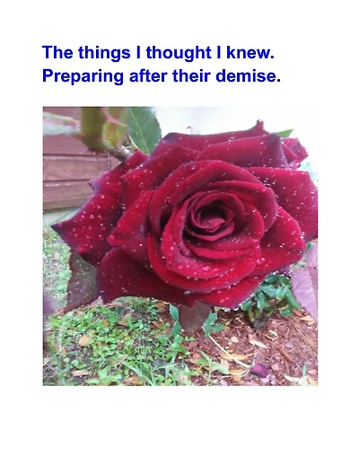 The Things I Thought Knew. Preparing After Their Demise.