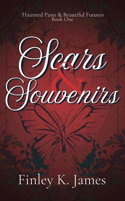 Scars & Souvenirs: Max's Journey