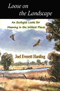 Loose on the Landscape: An Ecologist Looks for Meaning Wildest Places