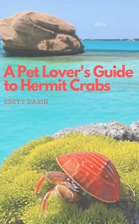 A Pet Lover's Guide to Hermit Crabs