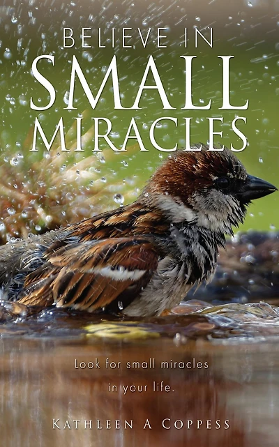 Believe small Miracles: Look for miracles your life.