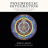 Psychedelic Integration: Psychotherapy for Non-Ordinary States of Consciousness