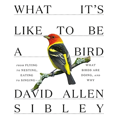 What It's Like to Be a Bird: From Flying Nesting, Eating Singing--What Birds Are Doing, and Why