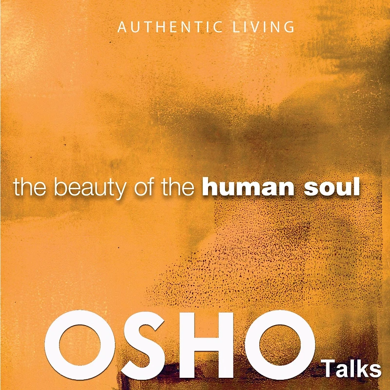 the Beauty of Human Soul: Provocations Into Consciousness