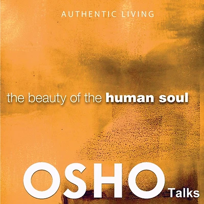 the Beauty of Human Soul: Provocations Into Consciousness