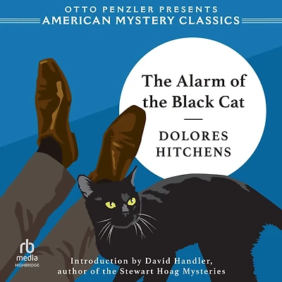 the Alarm of Black Cat