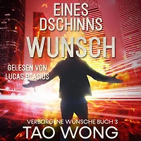 Eines Dschinns Wunsch: Eine LitRPG Urban Fantasie