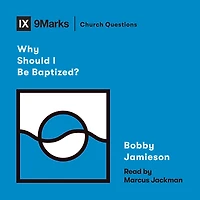 Why Should I Be Baptized?