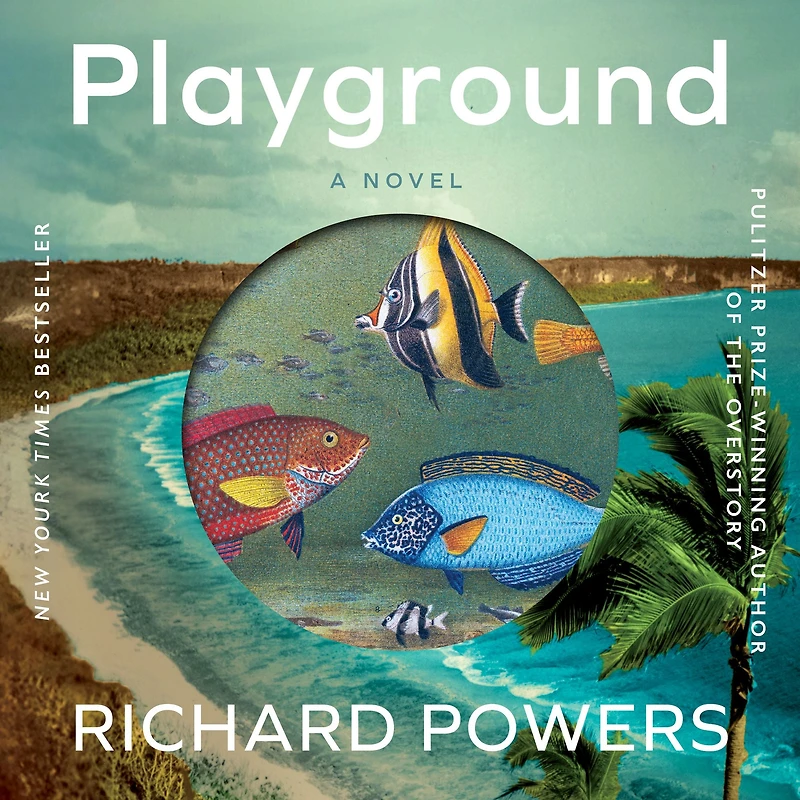 Playground: A Novel
