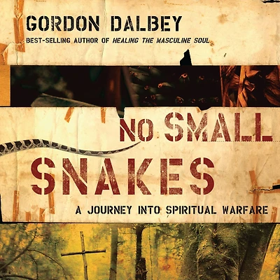 No Small Snakes: A Journey Into Spiritual Warfare