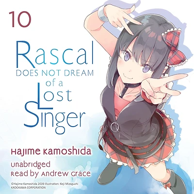 Rascal Does Not Dream of a Lost Singer (light novel)