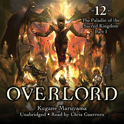 Overlord, Vol. 12 (light novel): the Paladin of Sacred Kingdom Part I