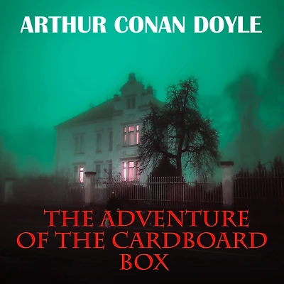 the Adventure of Cardboard Box