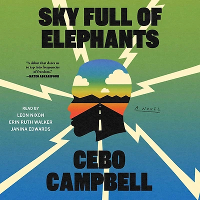 Sky Full of Elephants: A Novel
