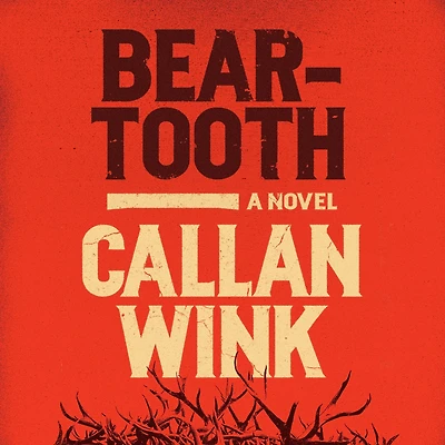 Beartooth: A Novel