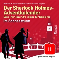 Im Schneesturm (Der Sherlock Holmes-Adventkalender - Die Ankunft des Erlösers, Folge 11)