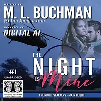The Night Is Mine: a military romantic suspense