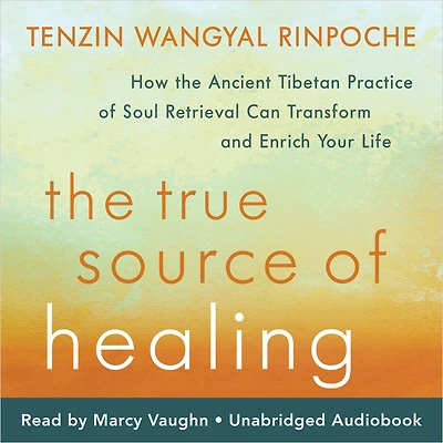 the True Source of Healing: How Ancient Tibetan Practice Soul Retrieval Can Transform and Enrich Your Life