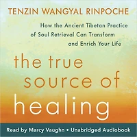 the True Source of Healing: How Ancient Tibetan Practice Soul Retrieval Can Transform and Enrich Your Life
