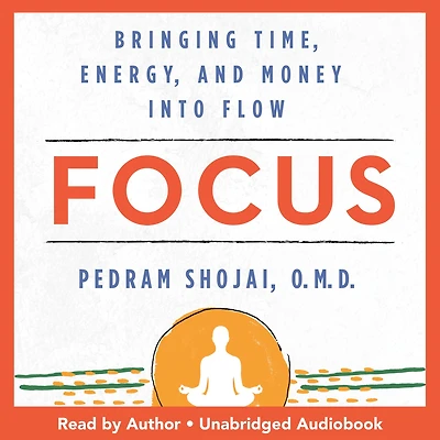 Focus: Bringing Time, Energy, and Money into Flow
