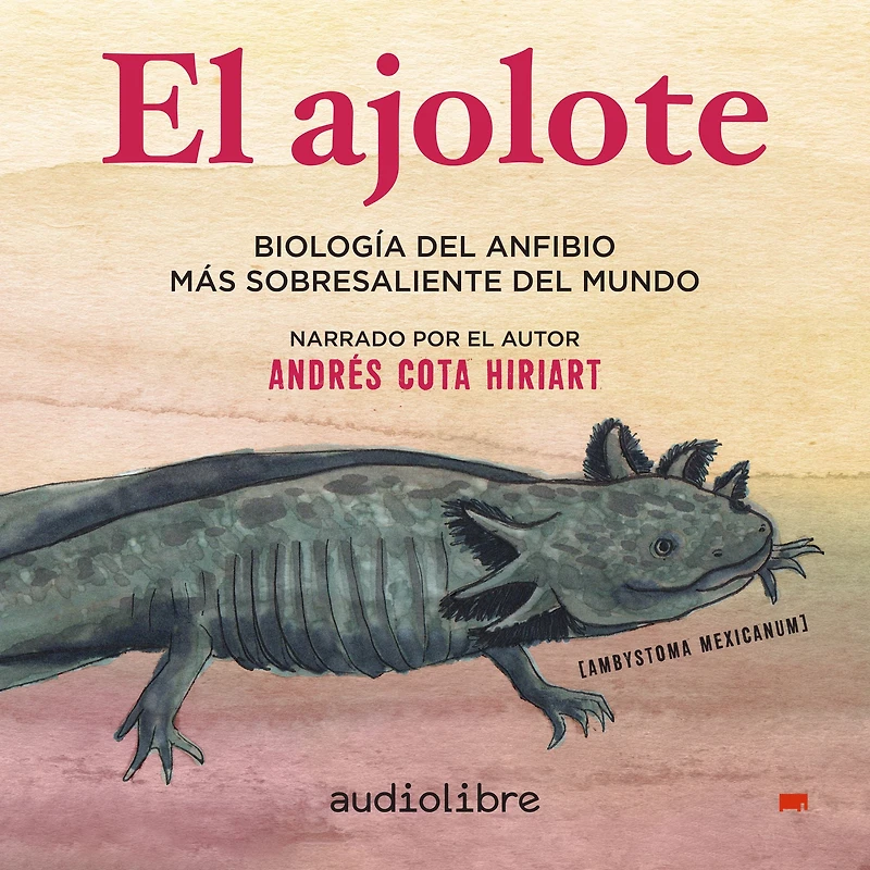 El ajolote: Biología del anfibio más sobresaliente mundo (Abridged)