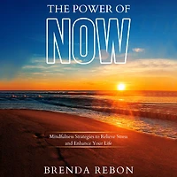 The Power of Now: Mindfulness Strategies to Relieve Stress and Enhance Your Life