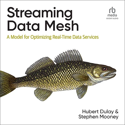Streaming Data Mesh: A Model for Optimizing Real-Time Services