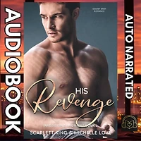 His Revenge: Secret Baby Romance
