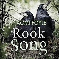 Rook Song: The Gaia Chronicles Book 2
