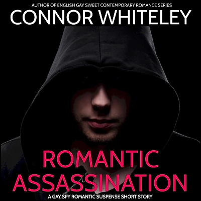 Romantic Assassination: A Gay Suspense Short Story